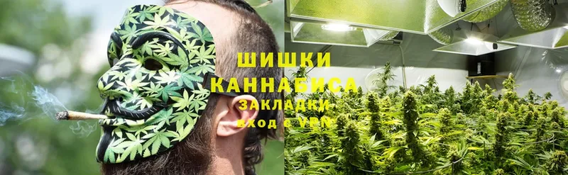 Бошки марихуана SATIVA & INDICA  Куровское 